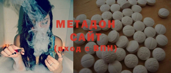 индика Гусев