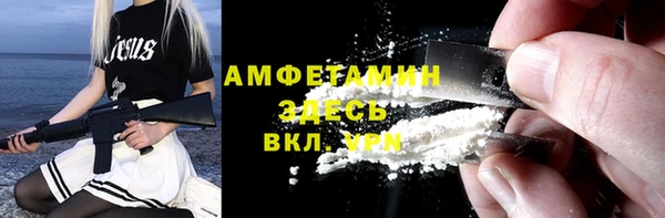 индика Гусев