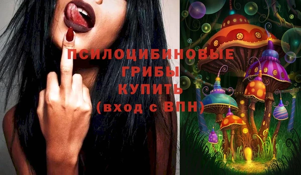 индика Гусев