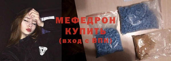 индика Гусев