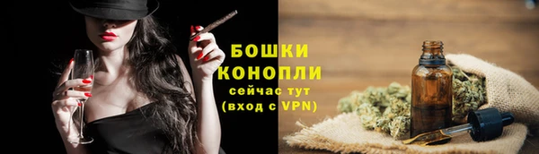 индика Гусев