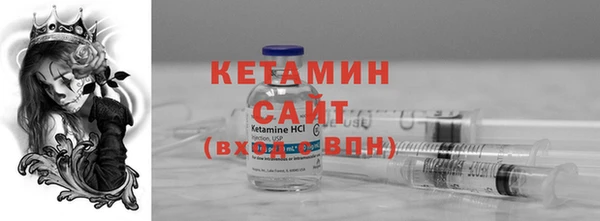 индика Гусев