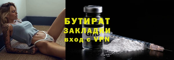 индика Гусев