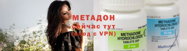 индика Горно-Алтайск