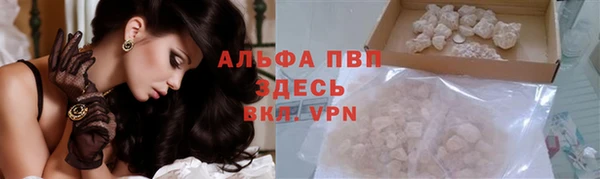 индика Гусев