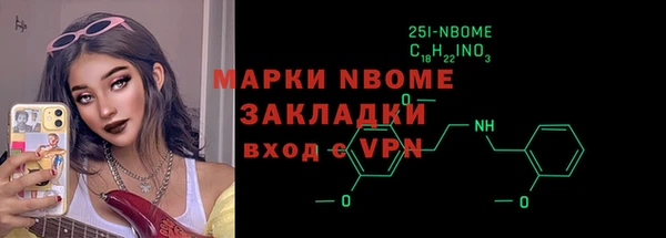 индика Гусев
