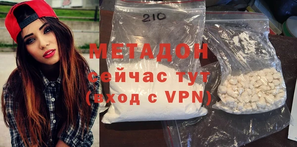 индика Гусев