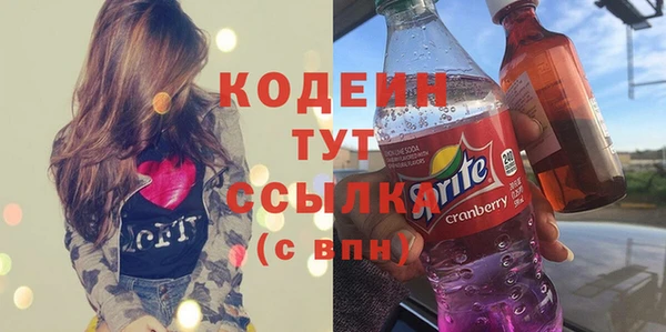 индика Гусев