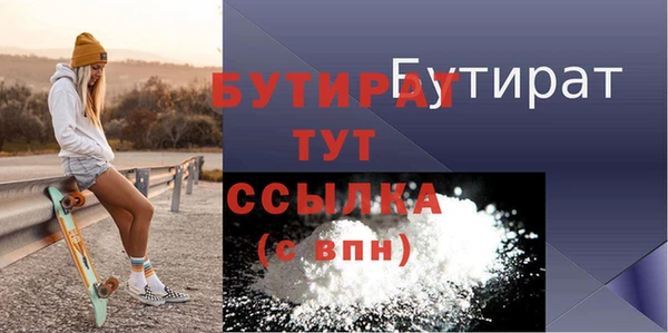 индика Гусев
