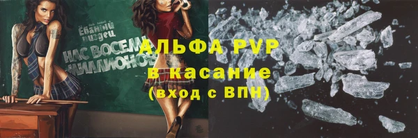 индика Гусев